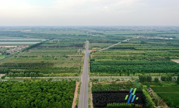 江苏农垦黄海农场：做好“绿”文章 跑出“绿富双赢”加速度
