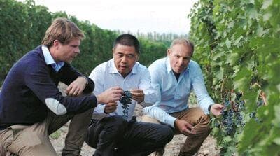 陈德启：酿造有灵魂的葡萄酒