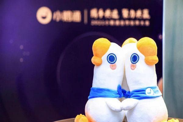 如何用知识打造你的财富金字塔？实现从无到有的变现之路