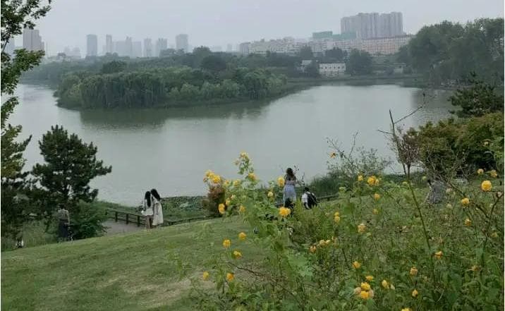 全部免费！郑州适合赏花的10个好去处！