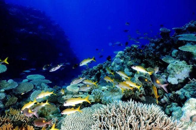 南海地区的海洋资源主要有哪些？