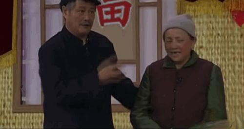 赵本山与哈文的春晚对决：一场传统与创新的碰撞