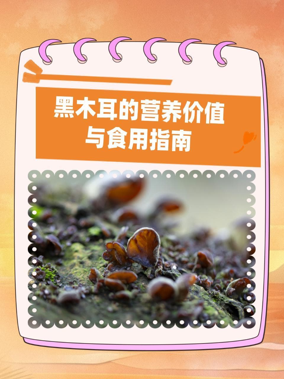 黑木耳的营养价值与食用指南