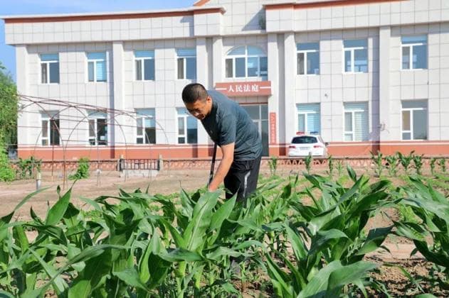 双辽法院 | 微视角下的茂林人民法庭