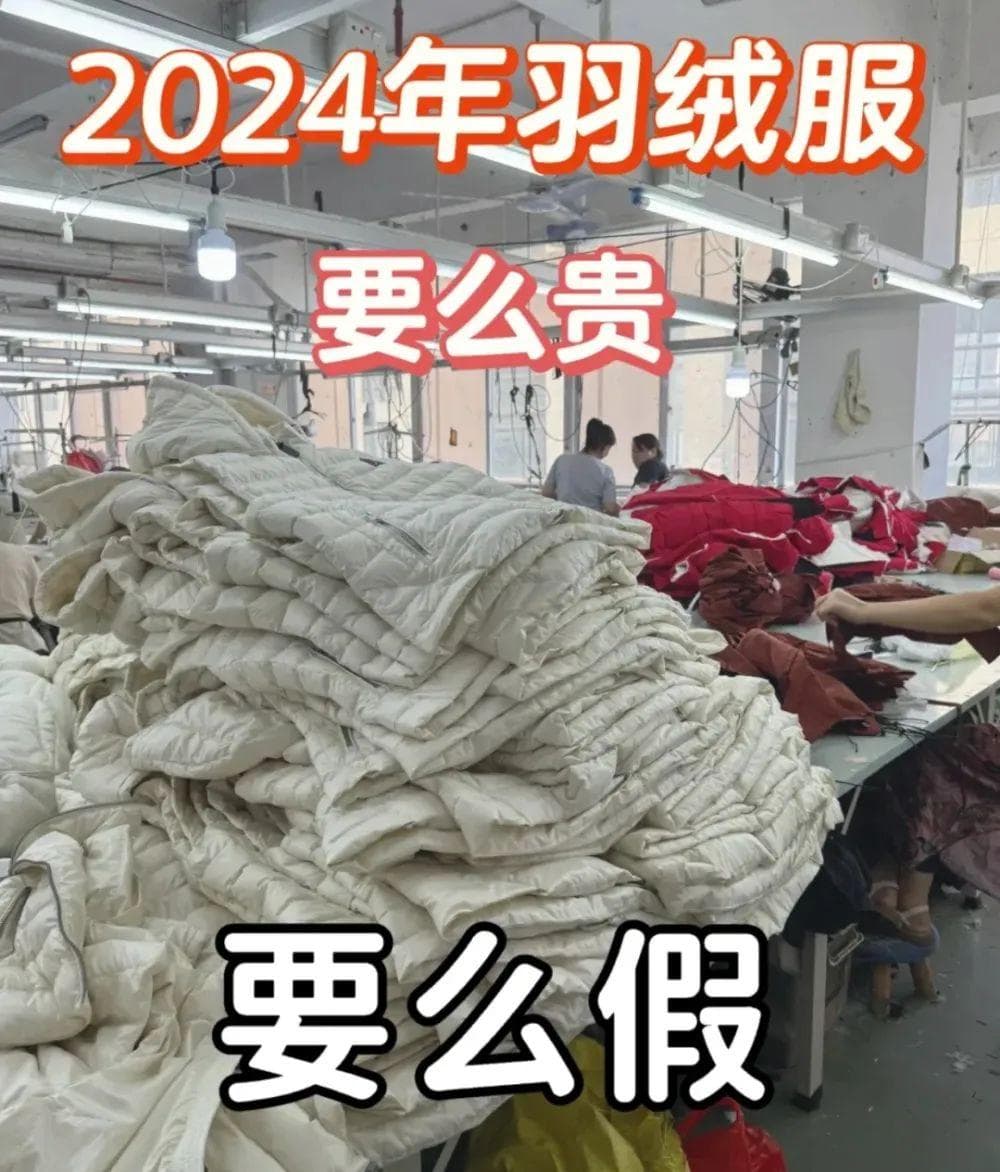 南方人的福音：科技棉服全面解析与选购指南