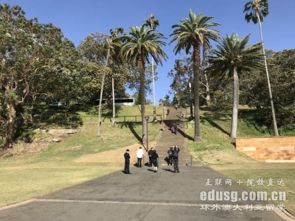 澳洲八大名校会计硕士专业详解：申请条件、课程设置与就业前景