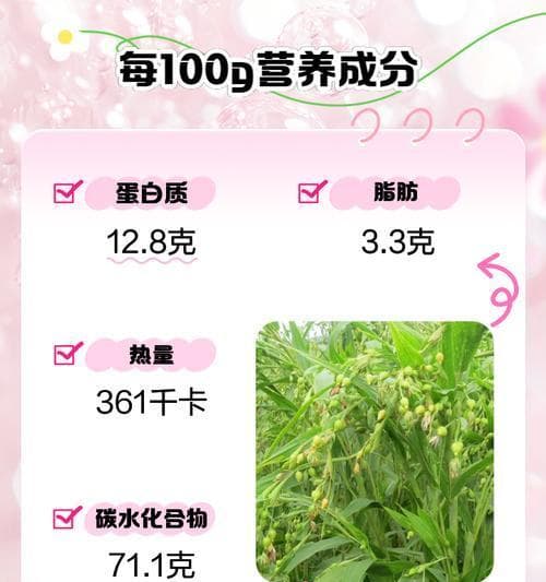 哈密瓜，到底是上火还是降火？（探究哈密瓜的营养成分及其对人体的影响）