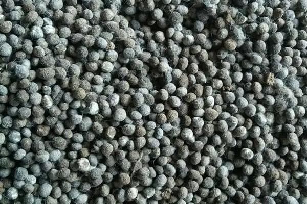 兔粪的用途与价值：从肥料到驱虫剂的全方位应用