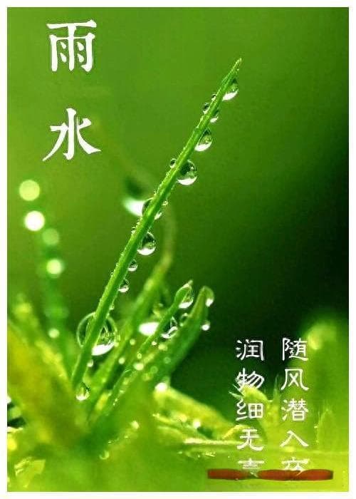 雨水：不仅是春雨润物无声的时令，还是充满人情味的传统节气