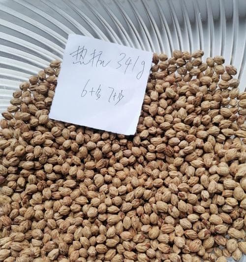 探秘百香籽：来源、特点与多重用途全解析
