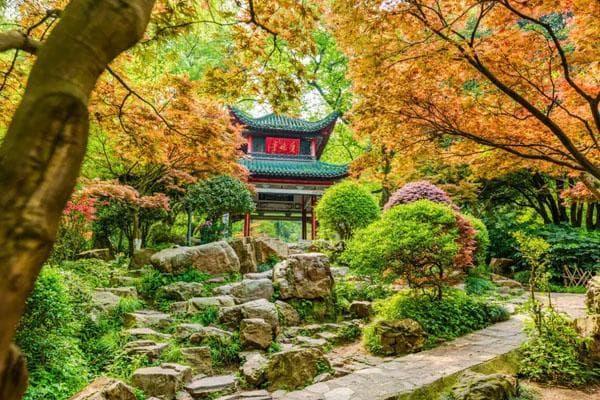 岳麓山徒步登山最佳路线