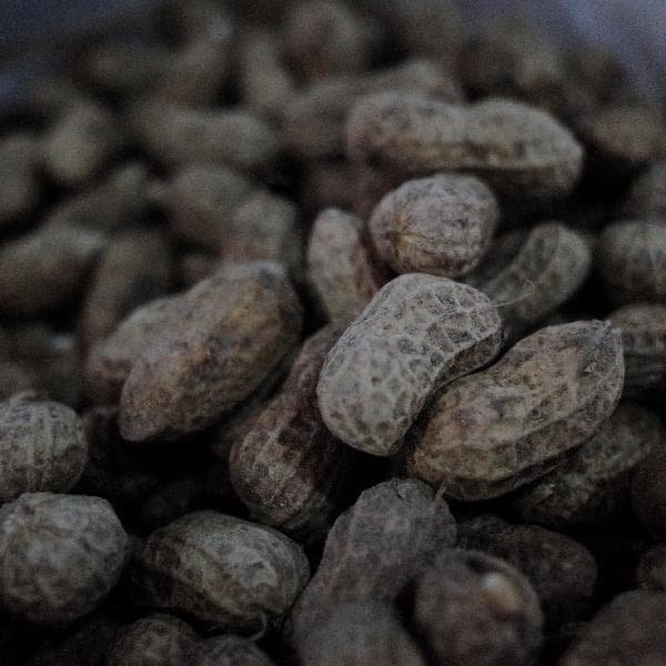 每天吃生花生米有什么好处和坏处