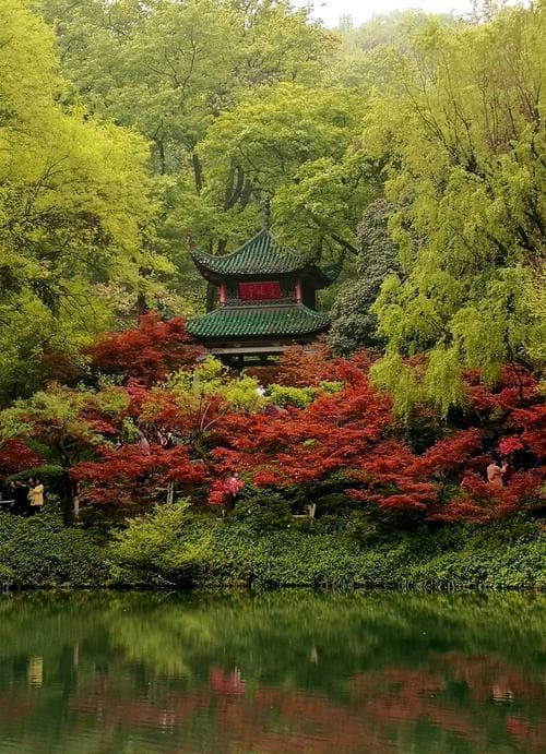 岳麓山，长沙赏花旅游的享受