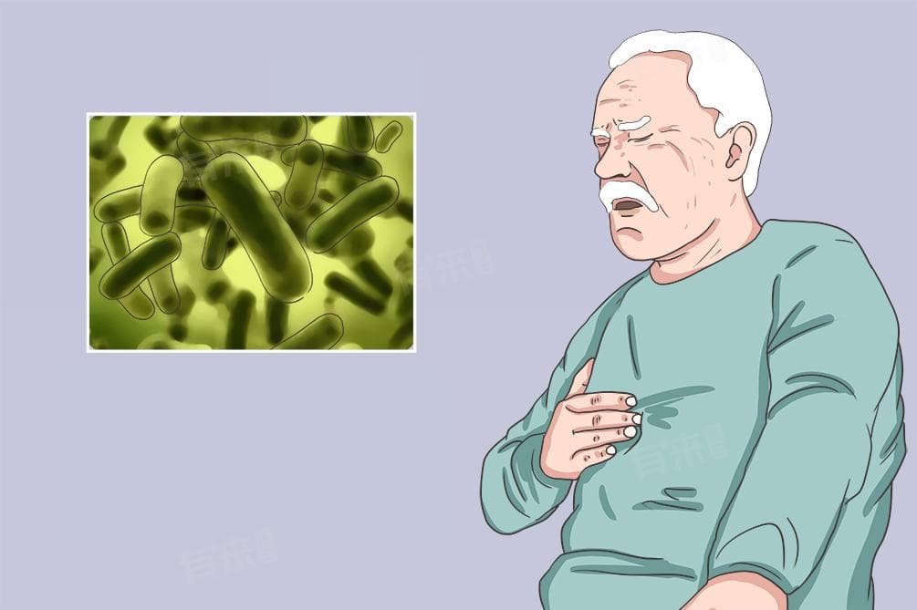 革兰氏阳性菌和阴性菌的区别