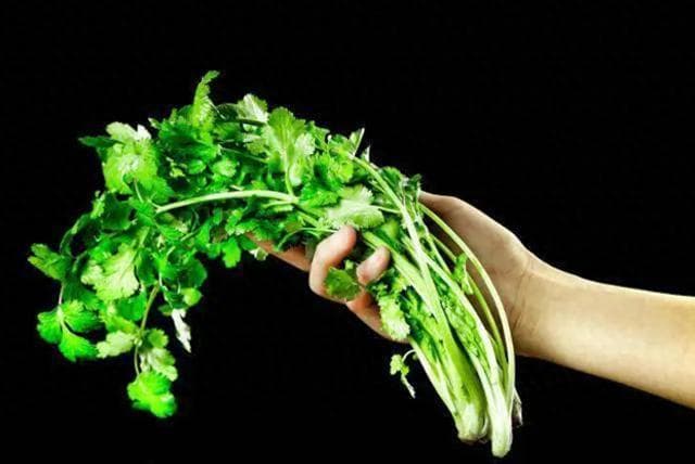 香菜：一种让人又爱又恨的食材