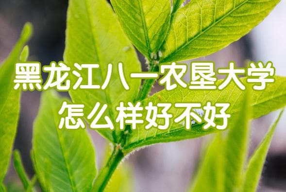 黑龙江八一农垦大学怎么样好不好？（什么档次、王牌专业、院校口碑）