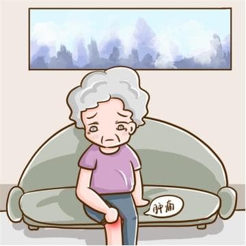 真相揭秘！氨糖软骨素真的能修复关节吗？