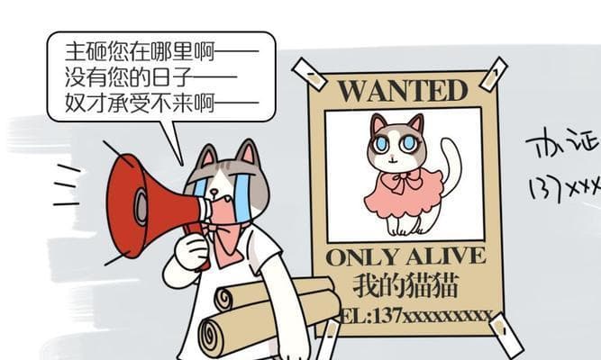 剪刀大法：中国古老的寻猫术