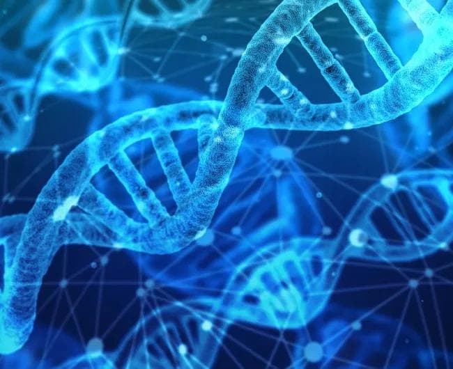 了解你的生物标志物测试报告