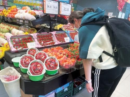 草莓“十问”：从病虫害到食用安全，专家权威解答