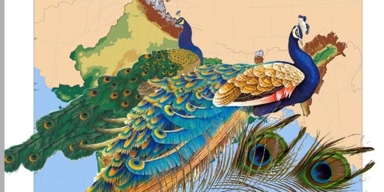 首次统一：孔雀王朝，羽翼渐丰