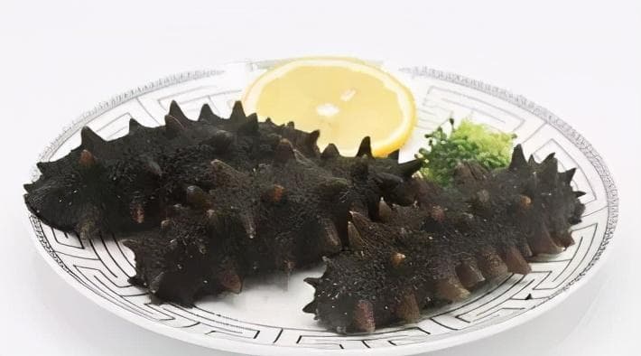 海参常见生活习性详解