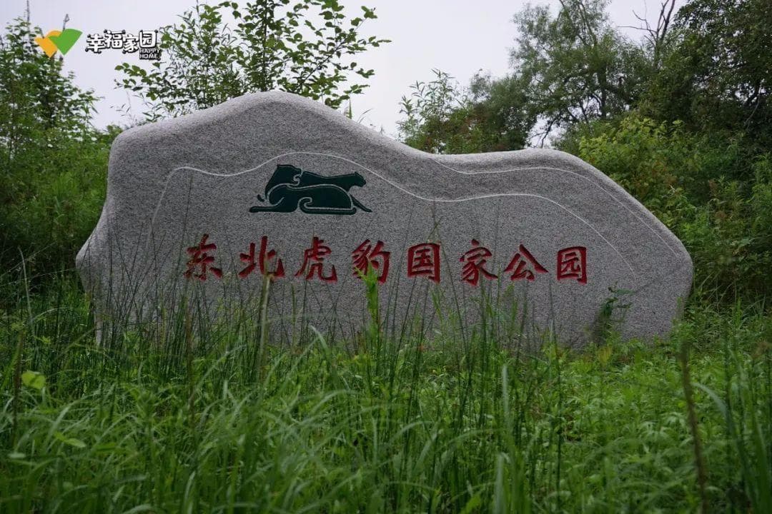 走进东北虎豹国家公园 共话虎豹保护与社区可持续发展