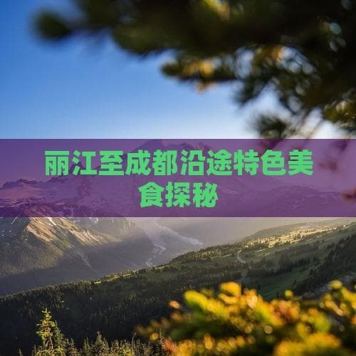 丽江至成都沿途特色美食探秘