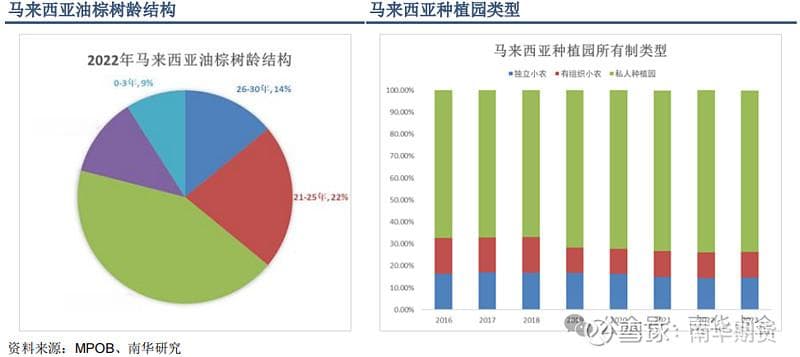 马来西亚POC2024会议观点整理：全球棕榈油市场深度分析