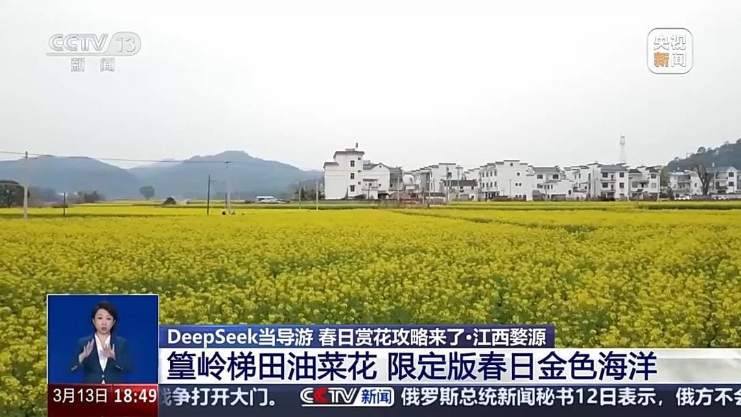 春日赏花攻略：从华南到西南，各地花开正当时