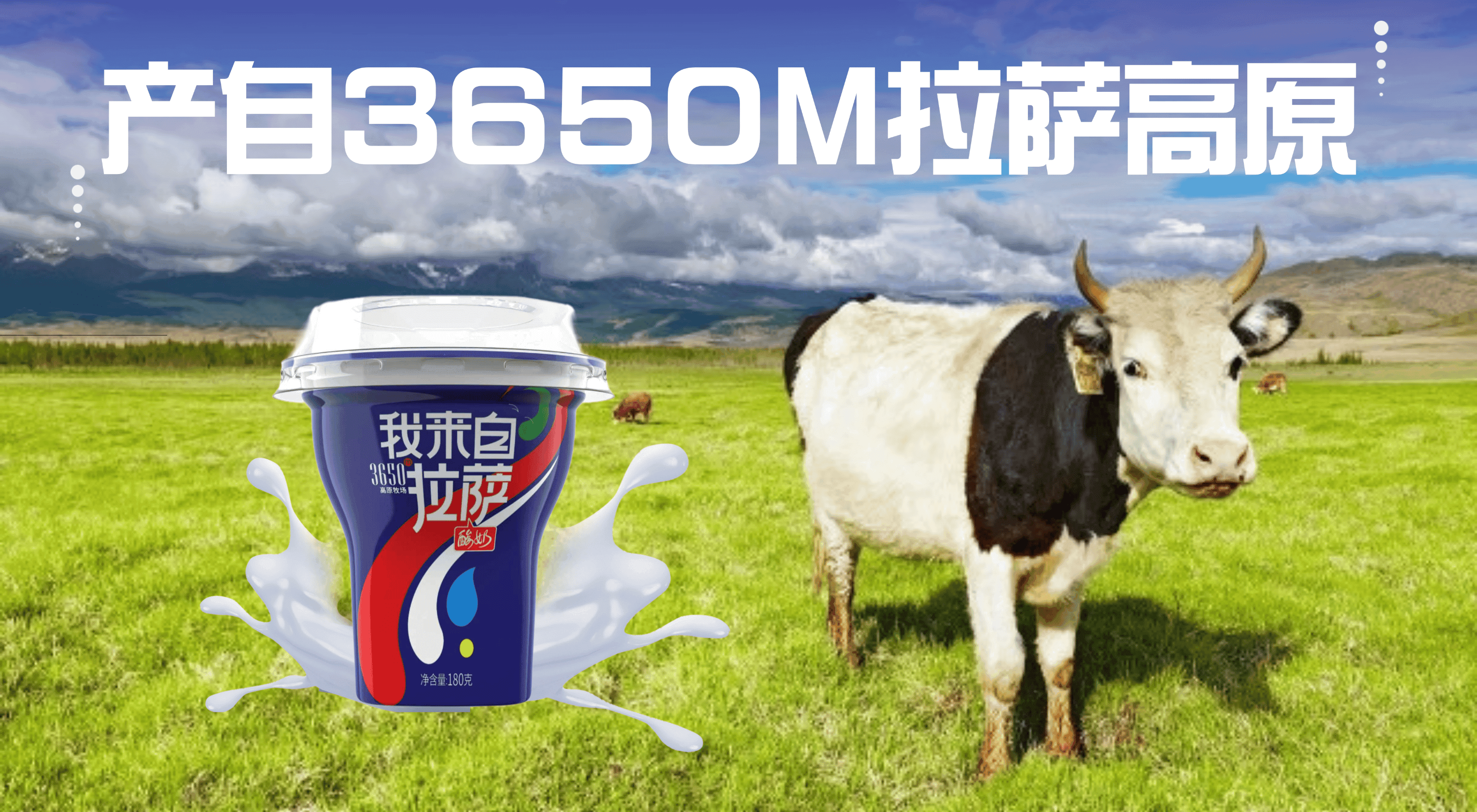 吃酸奶是吃浓稠一点还是稀一点的好？