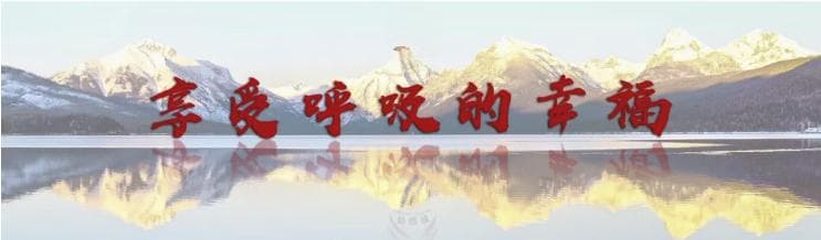 金阳教授：人工智能如何赋能肺结节的临床决策？