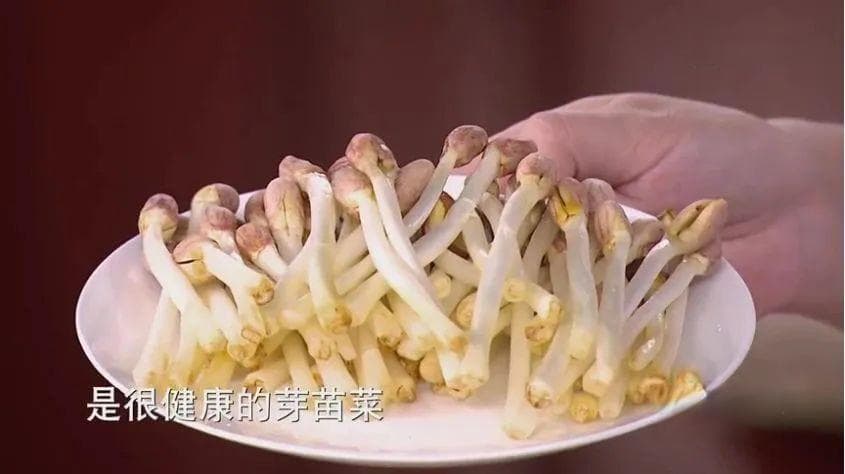 别扔！这4种食物发芽不仅没毒，还营养飙升