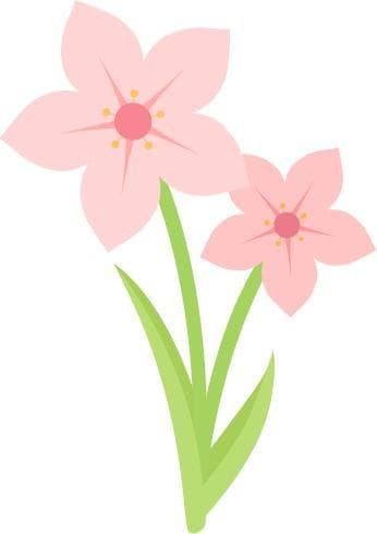 春天困乏？试试这14道花卉汤膳