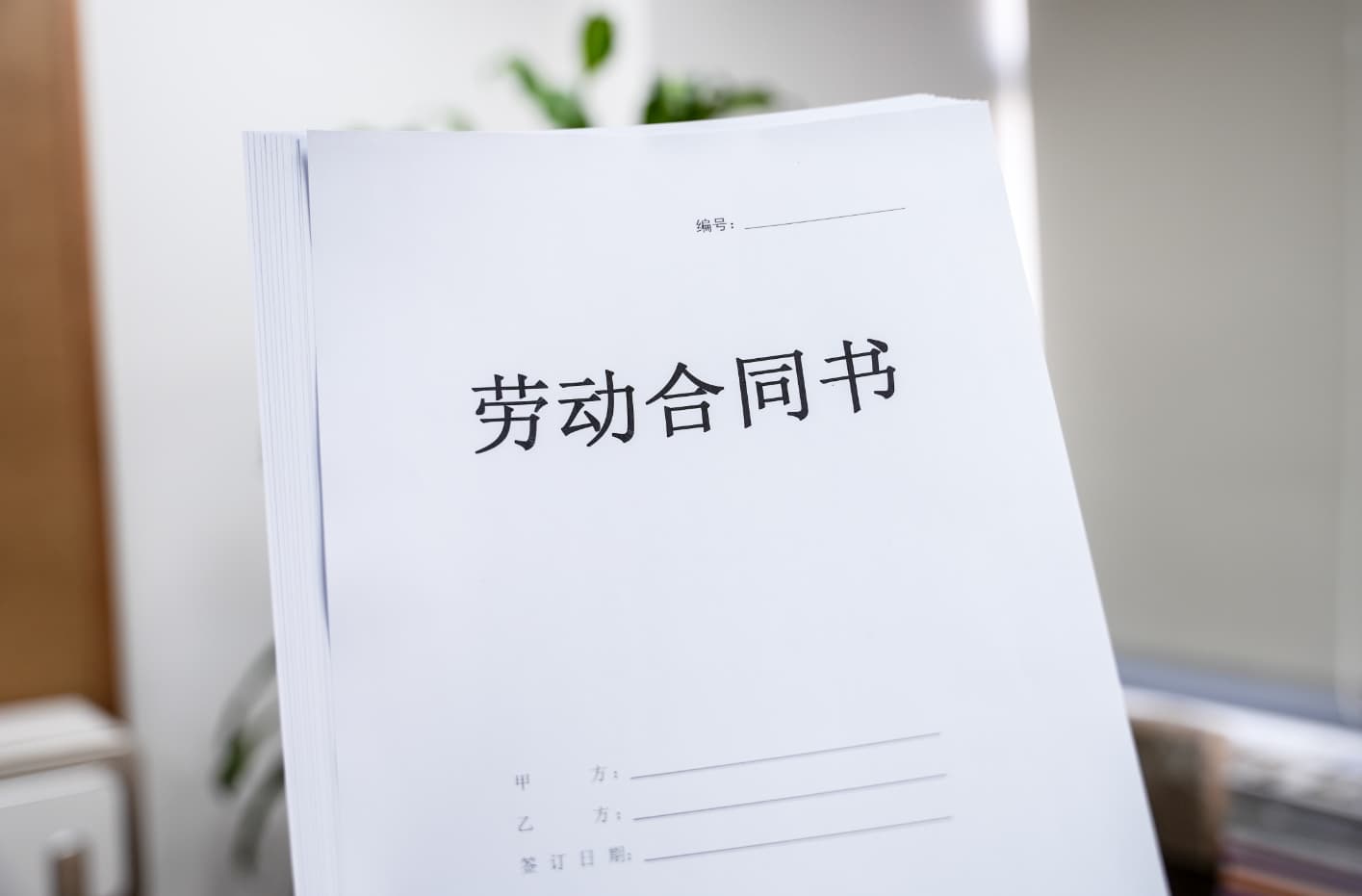 企业要求员工“无犯罪记录”反又授意“造假”？③