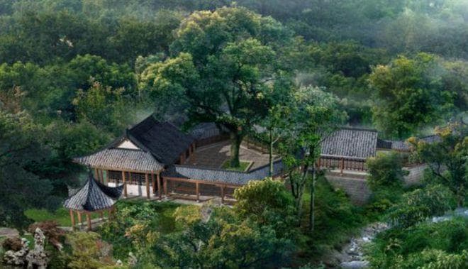 老人说：“阴树不进家，阳树不进坟”，哪些是阴树，都是啥意思？