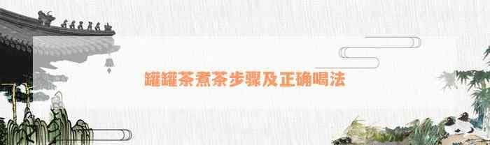 罐罐茶煮茶步骤及正确喝法