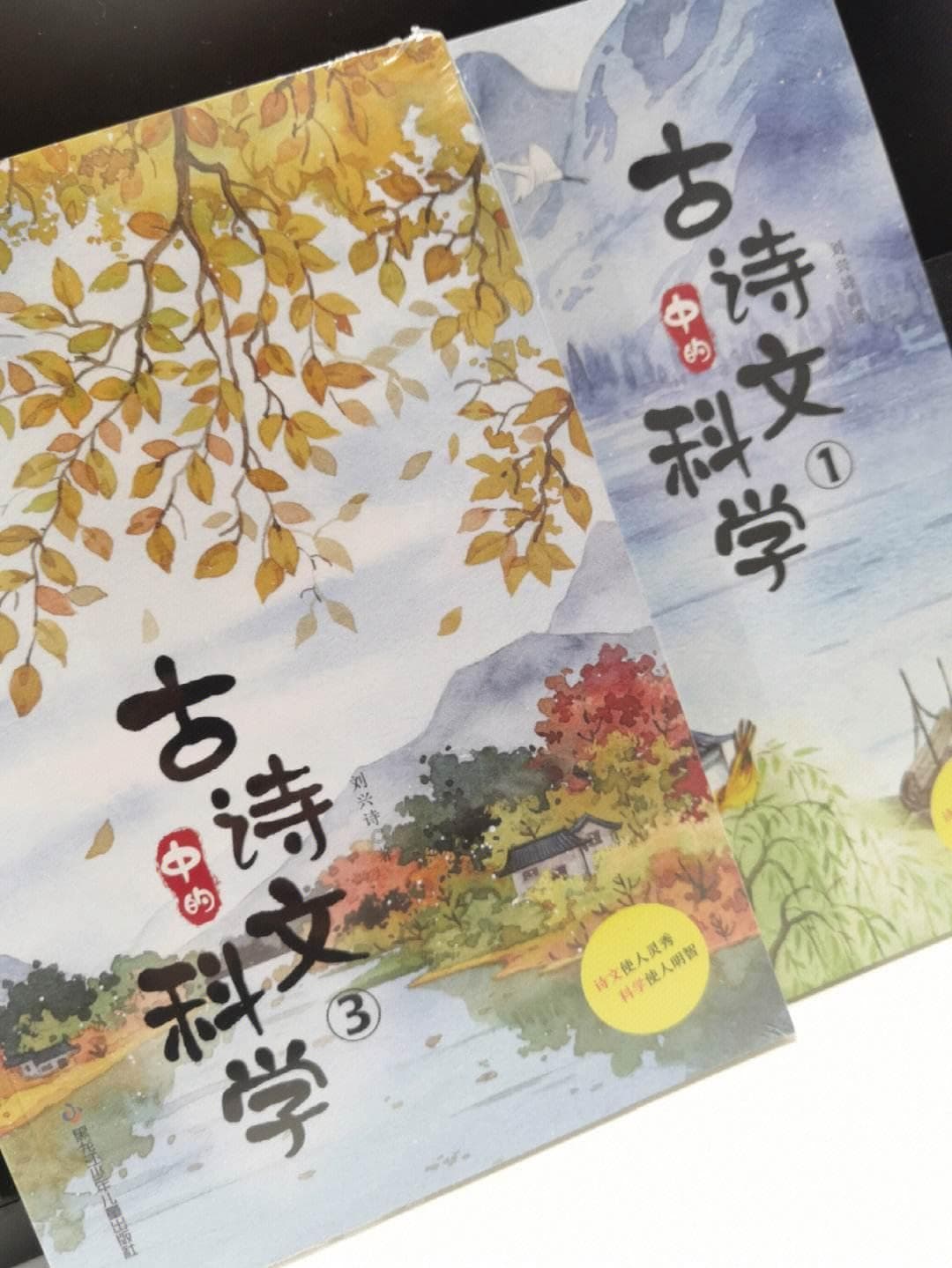 动静结合的诗意之美：古典诗词中的韵律与意境