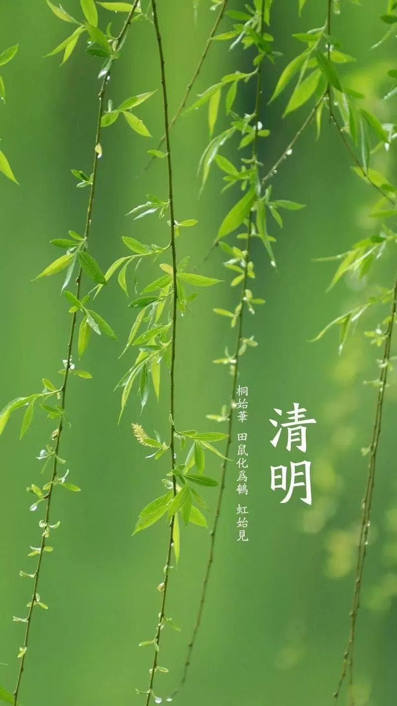 清明时节，养生保健方面应该注意些什么？