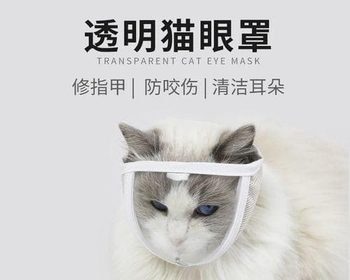 解读猫咪舔咬嘴唇：一种表达亲密的特殊方式