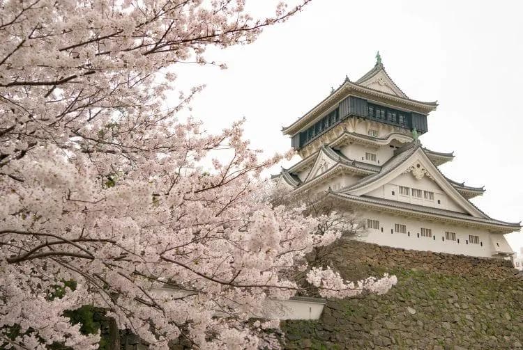 北九州：九州最北端的城市，适合学习、娱乐及放松