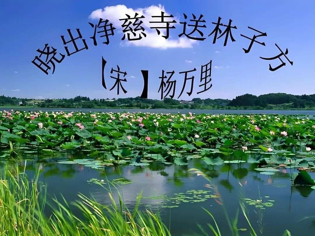 《晓出净慈寺送林子方》杨万里 | 那些年，我们一起学过的课文