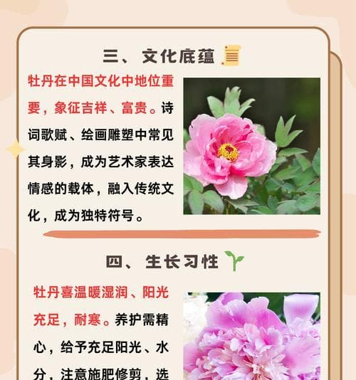 新种植牡丹花的养护管理方法是什么？