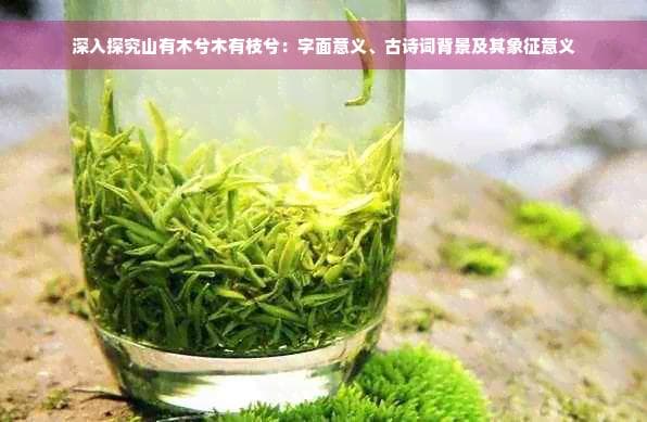 山有木兮木有枝兮：字面意义、古诗词背景及其象征意义