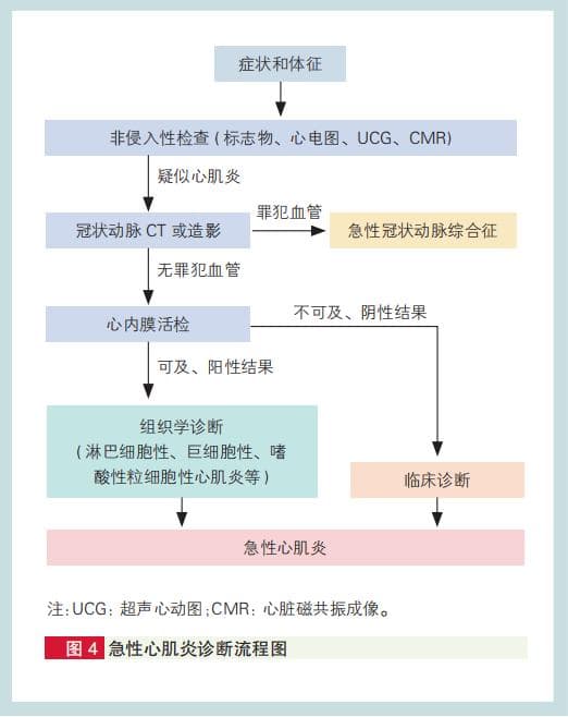 急、慢性心肌炎诊断有了新标准！中国成人心肌炎诊治指南