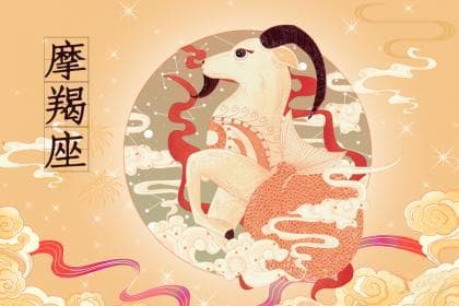天秤摩羯匹配度：相互吸引的挑战与机遇