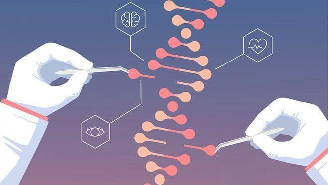 基因编辑技术：重塑生命的科学魔法