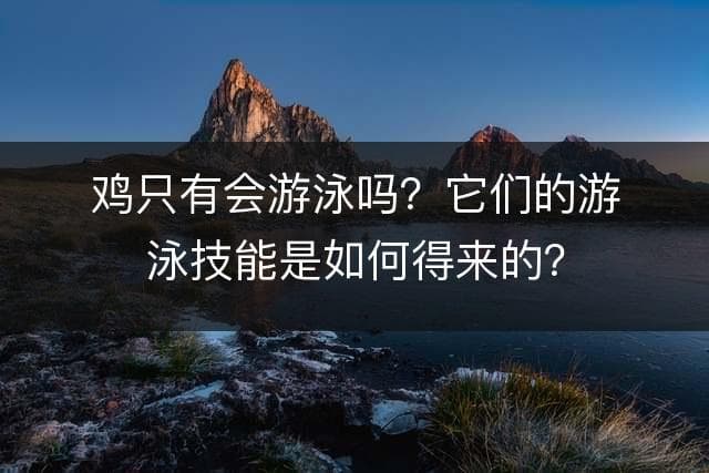 鸡只有会游泳吗？它们的游泳技能是如何得来的？