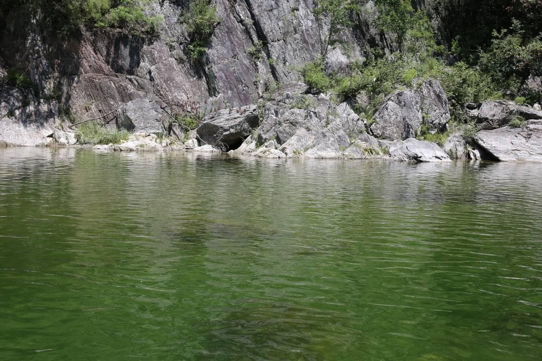 历经上亿年演化 中国野生“娃娃鱼”现在怎么样了？
