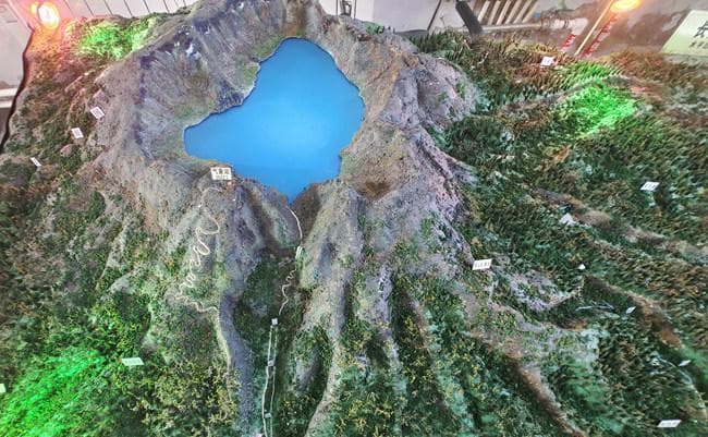 用好“立体资源宝库” 打响道地药材“吉字号”品牌